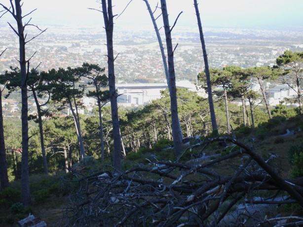 Nuweland