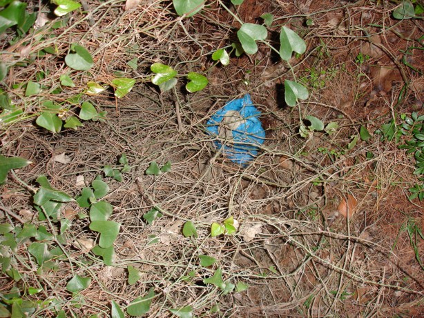 Wegsteekplek