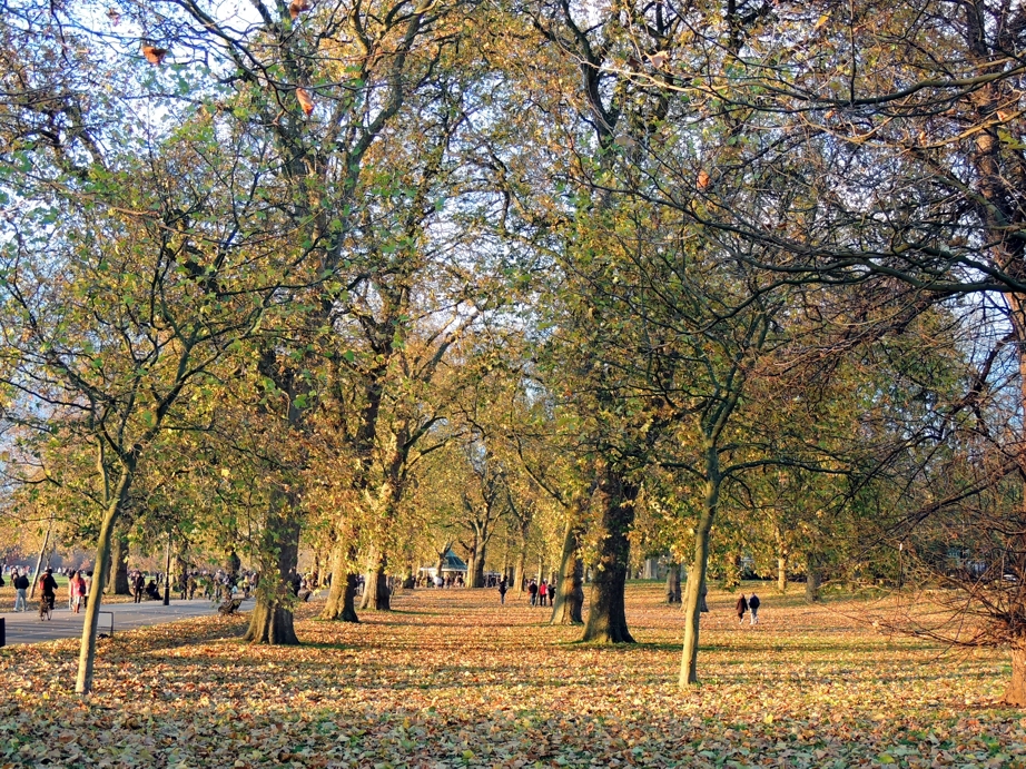 Park